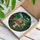 Chipmunk Red Spot Toadstool Leaves Sky Home Decor Gift Stained Glass Suncatcher - 3