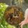 Stained Glass English Bulldog Art Nouveau Garden Home Decor Gift for Dog Lover Stained Glass Suncatcher - 2