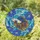 Betta Fish Blue Hibiscus Underwater Mosaic - Fish Lover Home Decor Gift Stained Glass Suncatcher - 1