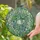 Glowing Jewel Tone Ornate Succulent Planter Cascading Glass Beads - Home Decor Gift Stained Glass Suncatcher - 2
