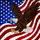 Bald Eagle American Flag Independence Day Home Decor Gift for Proud Veterans Stained Glass Suncatcher - 5