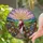 Jesus Christ Walking Cobblestone Path Wildflowers Radiant Sunrise - Home Decor Gift Stained Glass Suncatcher - 2