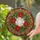 Red Poinsettia Holly Berries Christmas Wreath Stained Glass - Holiday Home Decor Gift Stained Glass Suncatcher - 2