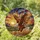 Majestic Eagle Prairie Grass Sunset Landscape - Wildlife Lover Home Decor Gift Stained Glass Suncatcher - 1