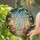 Translucent Teardrop Elements Glowing Lights Evergreen Branches Snow - Home Decor Gift Stained Glass Suncatcher - 2