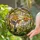 Hummingbird Bell Flowers Foliage Tiffany Glass - Wildlife Lover Home Decor Gift Stained Glass Suncatcher - 2