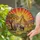 Elephants Giraffes African Savanna Sunset - Home Decor Gift for Wildlife Lover Stained Glass Suncatcher - 2