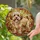 Happy Small Fluffy Dog Stained Glass Jewel Tones Home Decor Gift for Pet Lover Stained Glass Suncatcher - 2