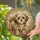 Shih Tzu Puppy Stained Glass with Golden Gem Accents - Window Decor Gift for Dog Lovers Stained Glass Suncatcher - 2