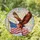 Bald Eagle Flight American Flag Independence Day Home Decor Gift for US Veterans Stained Glass Suncatcher - 1