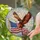 Bald Eagle Flight American Flag Independence Day Home Decor Gift for US Veterans Stained Glass Suncatcher - 2