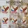 Bald Eagle Flight American Flag Independence Day Home Decor Gift for US Veterans Stained Glass Suncatcher - 4