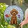 Miniature Poodle Tulips Sky Mosaic - Poodle Lover Home Decor Gift Stained Glass Suncatcher - 2