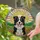 Border Collie Dog Head Tilted Tongue Out Rolling Hills Sun-Drenched Sky - Dog Lover Home Decor Gift Stained Glass Suncatcher - 2