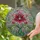Purple Gem Lily Flower Botanical Mosaic Home Decor Gift for Floral Lovers Stained Glass Suncatcher - 2
