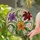 Stained Glass Mosaic Lily Flowers - Home Decor Gift for Gardeners Stained Glass Suncatcher - 2