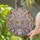 Cherry Blossom Crystal Flowers Rainbow Mosaic - Home Decor Gift Stained Glass Suncatcher - 2