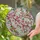 Cherry Blossom Branch Pink Flowers Green Leaves - Home Decor Gift for Blossom Lover Stained Glass Suncatcher - 2