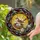 Brown White Bird Nest Apple Blossoms Jewel Tones - Wildlife Lover Home Decor Gift Stained Glass Suncatcher - 2
