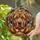 Mastiff Puppy Stained Glass Geometric Mosaic Home Decor Gift for Dog Lover Stained Glass Suncatcher - 2