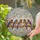 Six Songbirds Pink Cherry Blossoms Tree Branch - Bird Watcher Home Decor Gift Stained Glass Suncatcher - 2