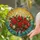 Red Candles Poinsettia Holly Ornaments - Christmas Holiday Decor Gift Stained Glass Suncatcher - 2