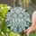 Stained Glass Dreamcatcher Agate Glass Slices Crystal Celestial Sky - Home Decor Gift Stained Glass Suncatcher - 2
