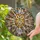 Tiffany Glass Owl Crystal Starburst Kaleidoscope Home Decor Gift For Wildlife Lover Stained Glass Suncatcher - 2