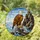 Bald Eagle Perched Mountain Cliff Ocean Scenery Wildlife Lover Home Decor Gift Stained Glass Suncatcher - 1