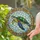 Sea Turtle Ornate Border Translucent Stained Glass - Home Decor Gift for Ocean Lover Stained Glass Suncatcher - 2