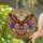 Bald Eagle American Flag 1776-2026 - USA 250th Anniversary Independence Day Gift for Dad Stained Glass Suncatcher - 2