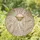 Rose Quartz Sphere Golden Chains Crystal Beads Star Fronds - Luminous Home Decor Gift Stained Glass Suncatcher - 1