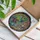 Jeweled Parrot Turtle Spider Stained Glass - Home Decor Wildlife Lover Gift Stained Glass Suncatcher - 3
