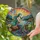 Ethereal Woman Butterfly Wings Dandelion Wildflowers Mountains - Home Decor Gift Stained Glass Suncatcher - 2