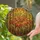 Sunlight Filtering Reeds Forest Leaves Bamboo Geometric Mosaic - Home Decor Gift Stained Glass Suncatcher - 2