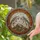Powerful Snarling Wolves Rugged Rock Formation - Wildlife Lover Home Decor Gift Stained Glass Suncatcher - 2
