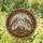 Powerful Snarling Wolves Rugged Rock Formation - Wildlife Lover Home Decor Gift Stained Glass Suncatcher - 1
