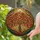 Stained Glass Tree of Life Sun Tiffany Autumn Leaves Home Decor Gift Stained Glass Suncatcher - 2