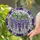 Wisteria Flowers Leafy Vines Square Rectangular Border - Home Decor Gift Stained Glass Suncatcher - 2