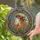 Young Woman Floral Hair Tiffany Glass Ethereal Sky Circular Border - Home Decor Gift Stained Glass Suncatcher - 2