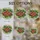 Red Ripe Strawberries Yellow Seeds Green Calyxes Leaves Window Decor Gift for Fruit Lover Stained Glass Suncatcher - 4