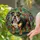 English Bulldog Garden Foliage - Home Decor Gift for Dog Lover Stained Glass Suncatcher - 2