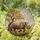 Rhinoceros Savanna Tree Orange Blossoms - Wildlife Lover Home Decor Gift Stained Glass Suncatcher - 1