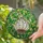 Garlic Bulb Root System Overlapping Green Leaves Organic Shapes - Home Decor Gift Stained Glass Suncatcher - 2
