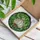 Garlic Bulb Root System Overlapping Green Leaves Organic Shapes - Home Decor Gift Stained Glass Suncatcher - 3