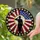 Soldier Saluting American Flag Golden Stars - Patriotic Home Decor Gift Stained Glass Suncatcher - 2
