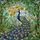 Peacock Flowers Foliage Sky - Home Decor Gift for Bird Watchers & Wildlife Lovers Stained Glass Suncatcher - 5