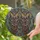 Two Majestic Mirroring Owls with Observant Eyes - Floral Organic Mosaic Home Decor Gift Stained Glass Suncatcher - 2