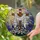 Wooden Cross Burial Shroud Golden Sunburst Floral Arrangement - Christian Home Decor Gift Stained Glass Suncatcher - 2