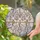 Three Suspended Cherry Blossom Stained Glass Octagonal Crystal Gold Leaf - Home Decor Gift Stained Glass Suncatcher - 2